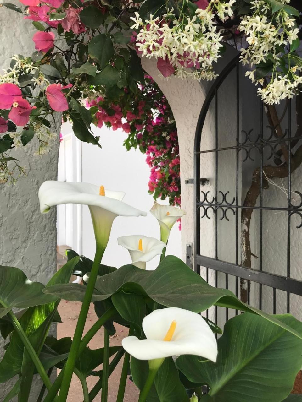 Bagley Terrace 136 Cottage Joanesburgo Exterior foto